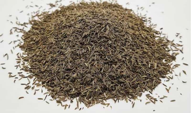 تصویر 2 از زیره سیاه کرمان با عطر قوی و خواص درمانی عالی