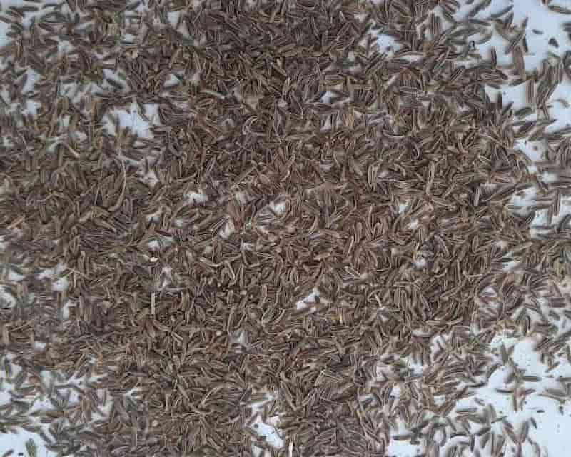 تصویر 4 از زیره سیاه افغانستان با عطر اصیل و کیفیت بی رقیب