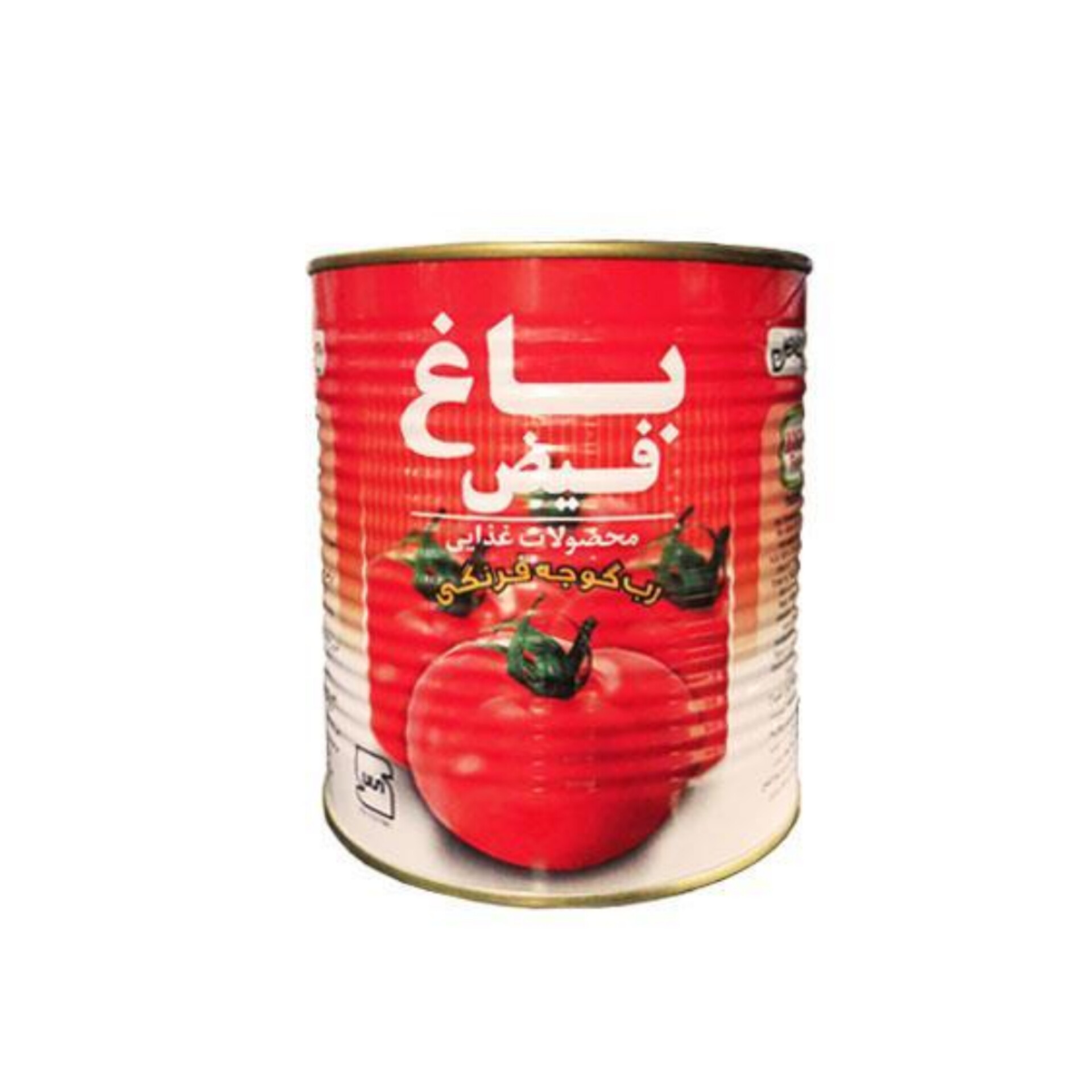 خرید عمده رب گوجه فرنگی باغ فیض قوطی ۸۰۰ گرمی باکیفیت
