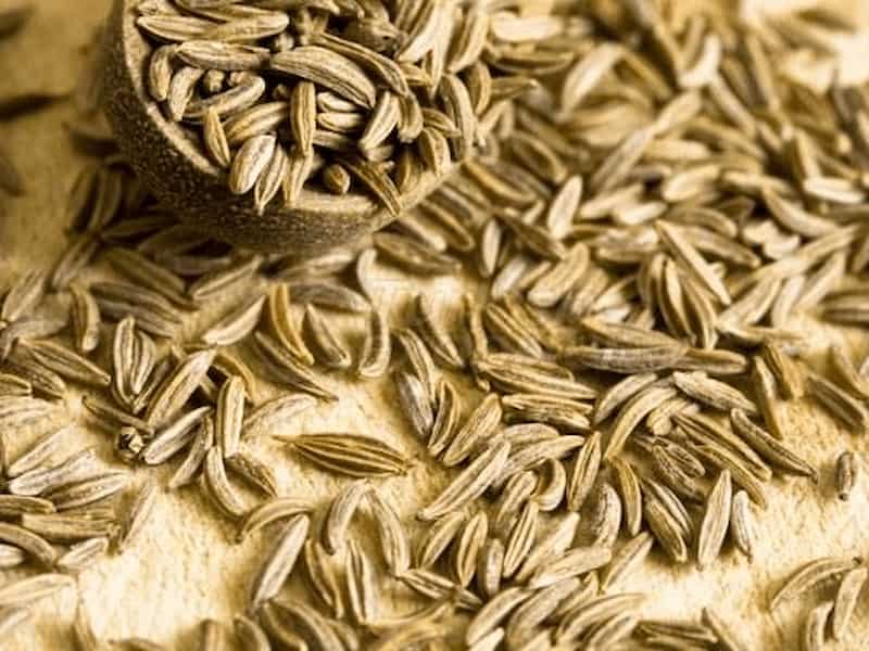 زیره سیاه وحشی با دانه های ریز و خواص درمانی بی شمار