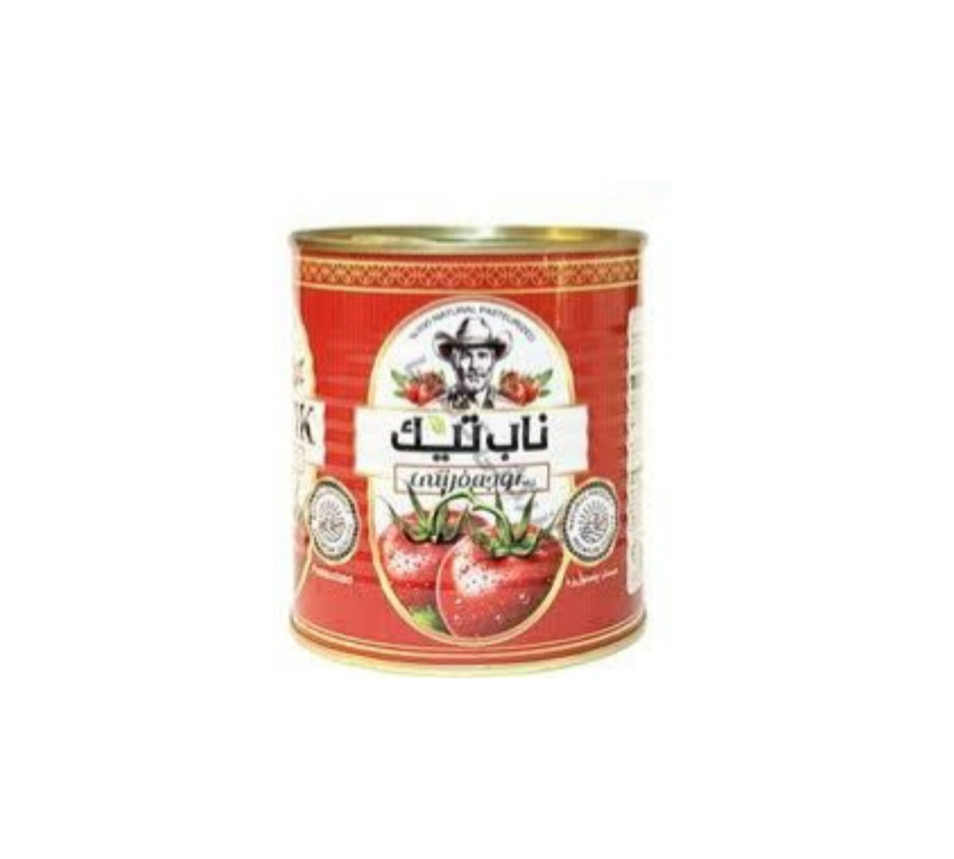 صادرات رب گوجه‌فرنگی ناب تیک مستقیم از کارخانه کیفیت عالی