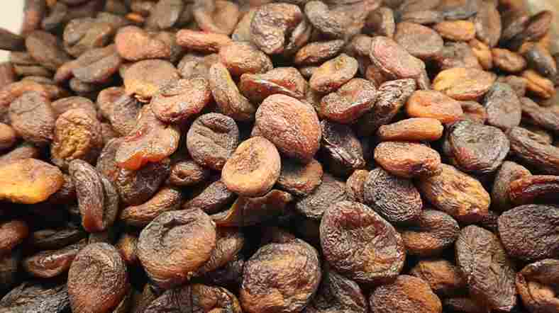 قیسی زردآلو خانگی با شیرینی طبیعی و عطر دلپذیر