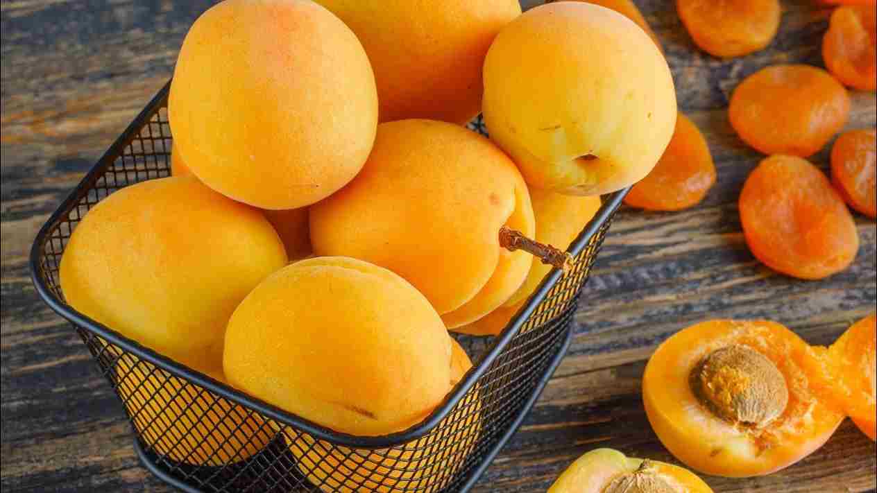 تصویر 2 از قیسی زردآلو خانگی با شیرینی طبیعی و عطر دلپذیر