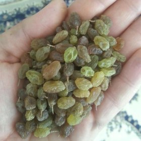 تصویر 3 از کشمش سبز ایرانی محصول شناخته شده بازار داخلی