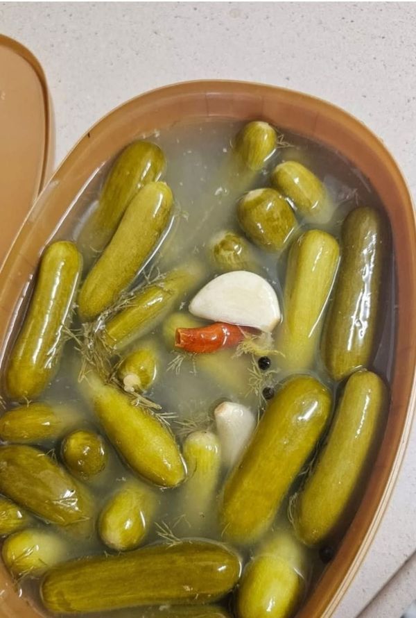 تصویر 3 از خیارشور نول و ساندویچی + ارزان و بصرفه