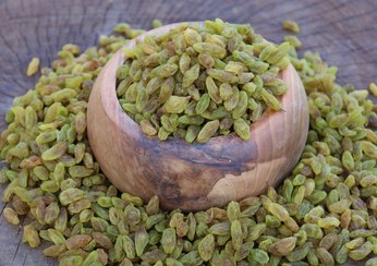 تصویر 4 از کشمش صادراتی کاشمر با جایگاه ویژه در بازار جهانی