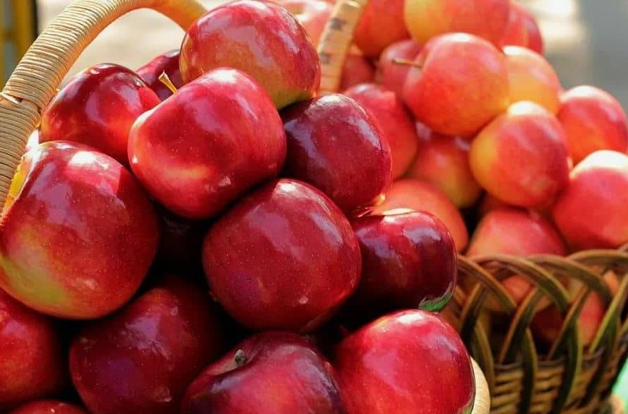تصویر 1 از سیب قرمز ترش انتخابی مناسب برای فروش عمده میادین و فروشگاه‌های میوه