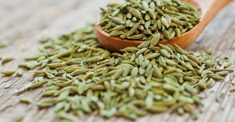 زیره سبز عمده مستقیم از تولیدکننده برای پخش سراسری