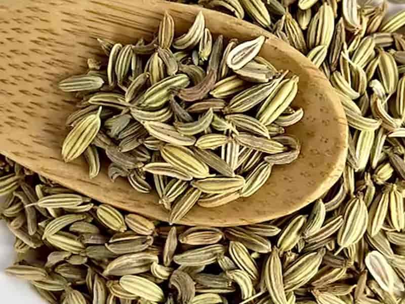 تصویر 1 از زیره سبز کاشمر با کیفیت عالی جهت مصرف در صنایع ادویه‌سازی