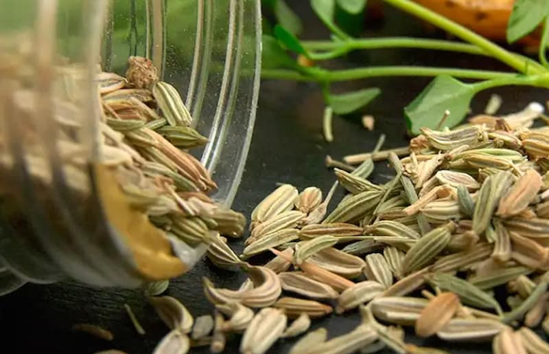 تصویر 3 از زیره سبز کرمان آماده فرآوری برای مصارف دارویی و غذایی
