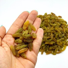 فروش کشمش سبز