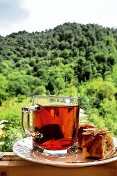 نکات تخصصی برای خرید چای ممتاز لاهیجان