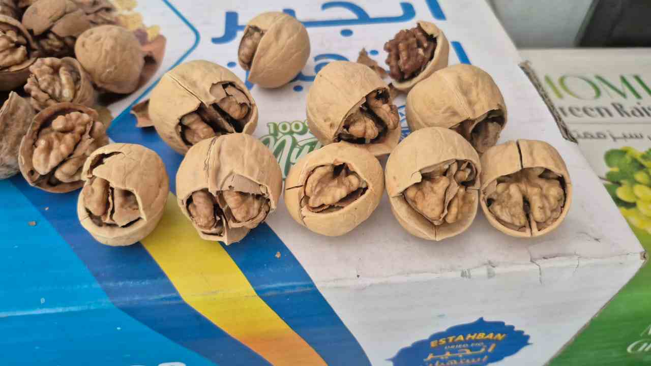 عرضه مستقیم گردوی بلغاری با پوست؛ کیفیت صادراتی در بازار داخلی