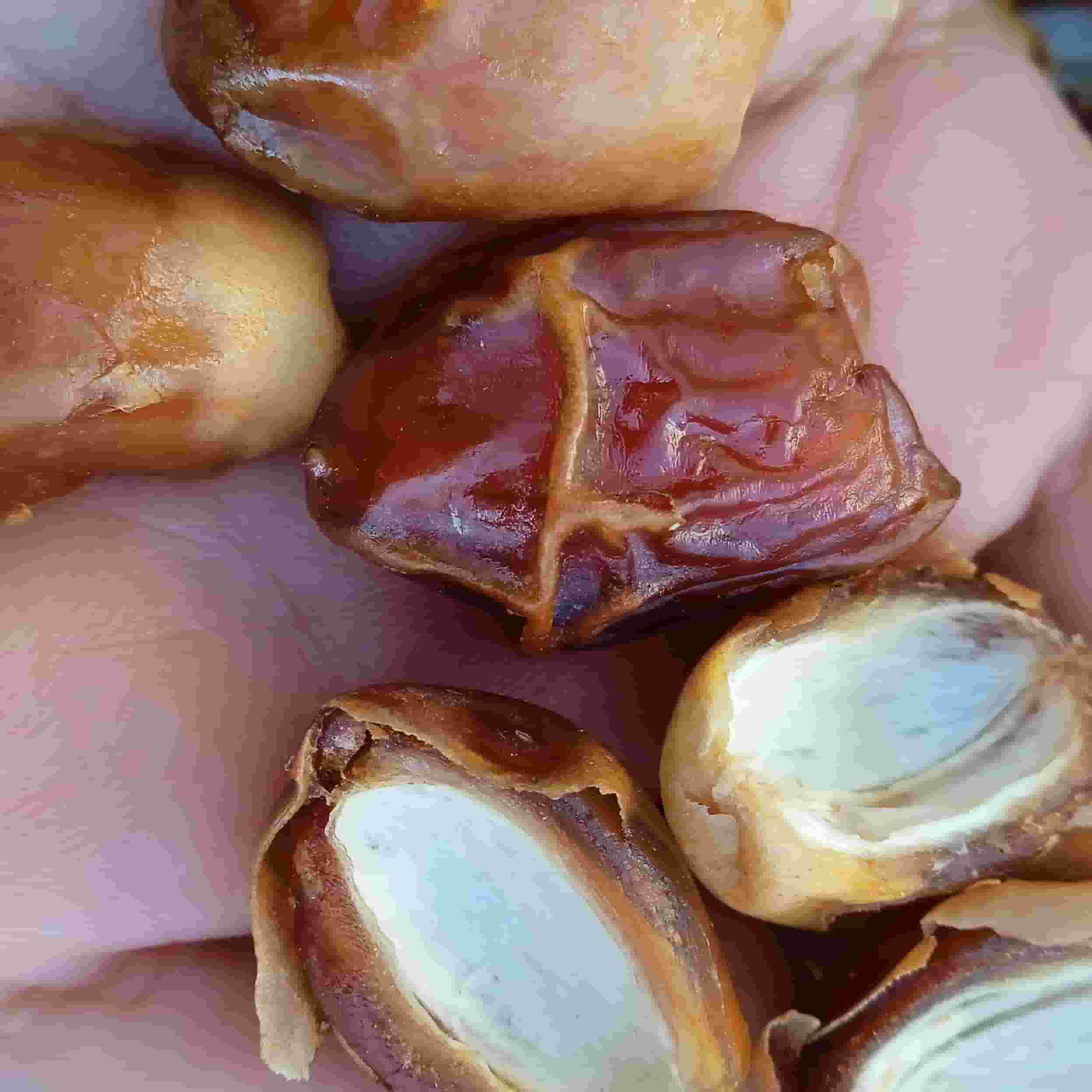 خرما زاهدی بدون هسته آماده استفاده در محصولات غذایی