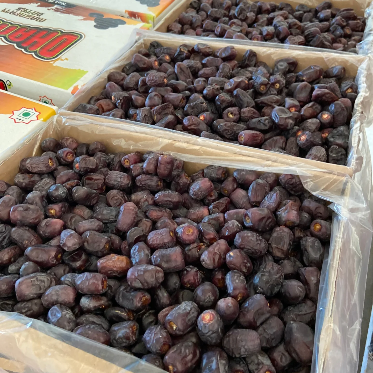 تصویر 3 از خرید عمده خرمای مضافتی برای واردات
