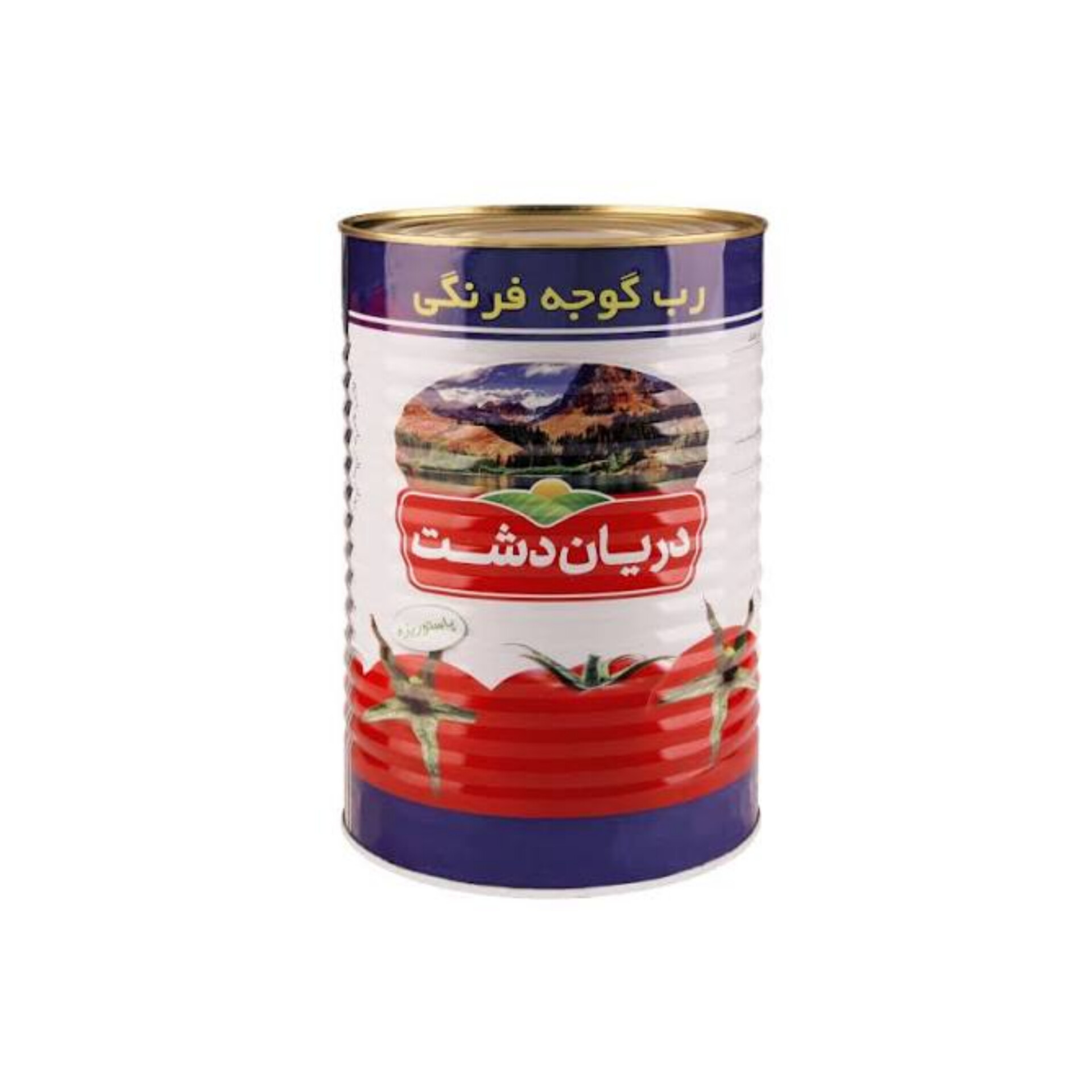 قیمت کارخانه انواع رب گوجه فرنگی دریان دشت صادراتی