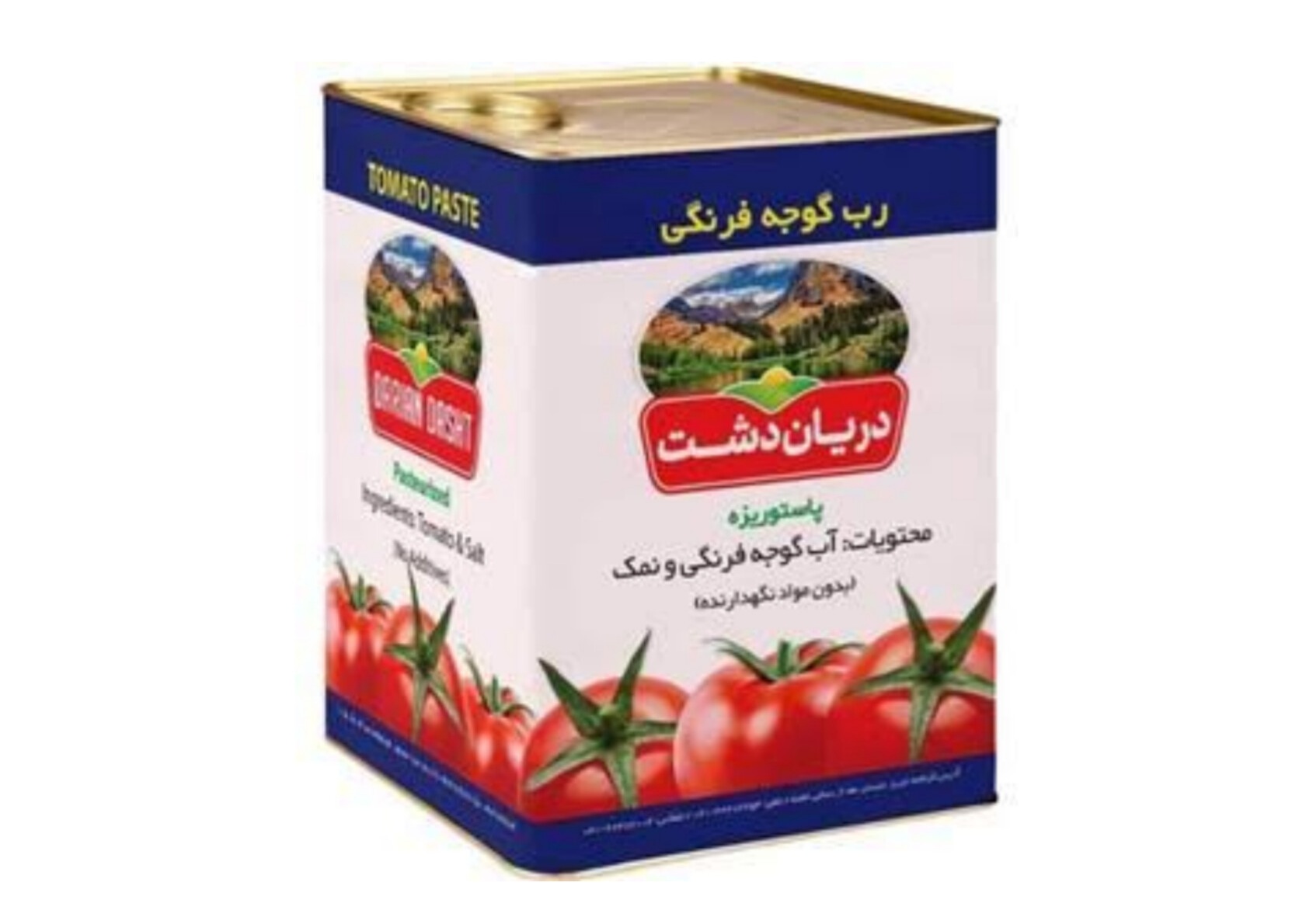 سفارش رب گوجه فرنگی دریان دشت با بسته‌بندی استاندارد صادراتی