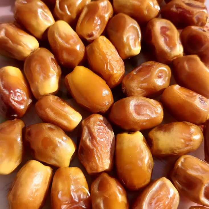 تصویر 2 از فروش عمده خرما زاهدی فله