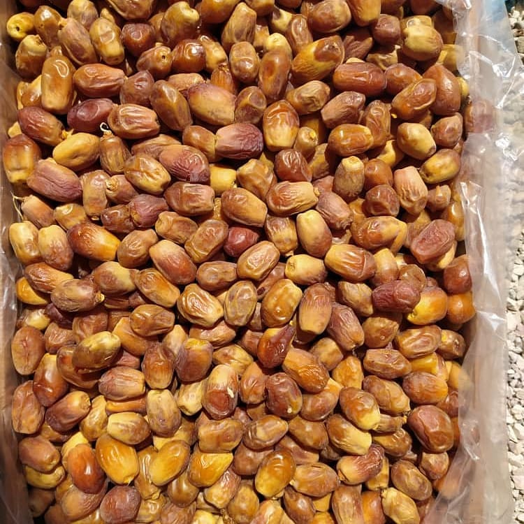 مرکز پخش خرما زاهدی ایران + قیمت عمده