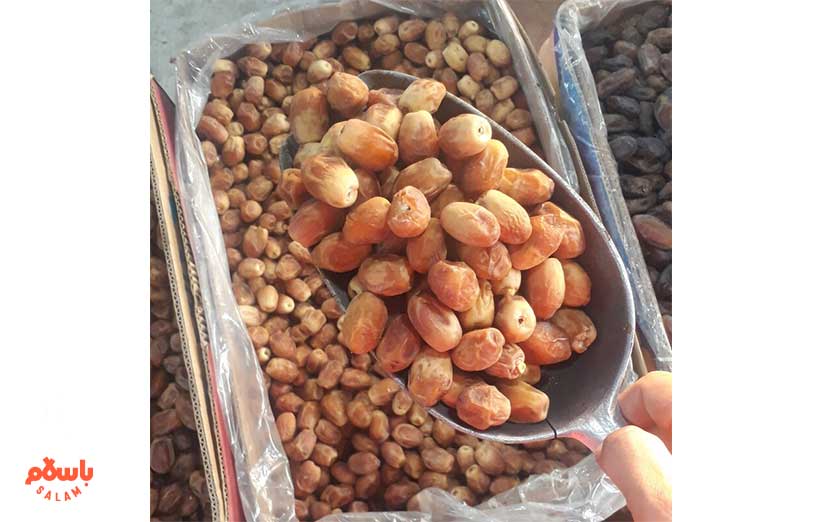 تصویر 4 از خرید عمده خرما زاهدی صادراتی