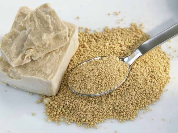 خمیر مایه