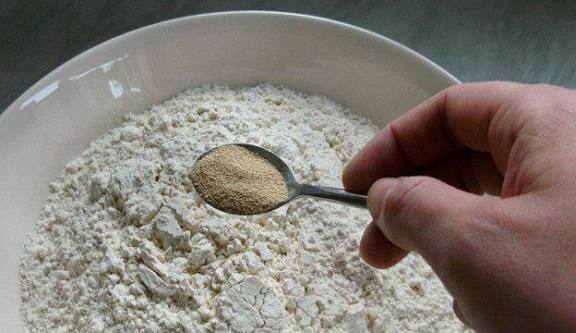 فروش خمیر مایه