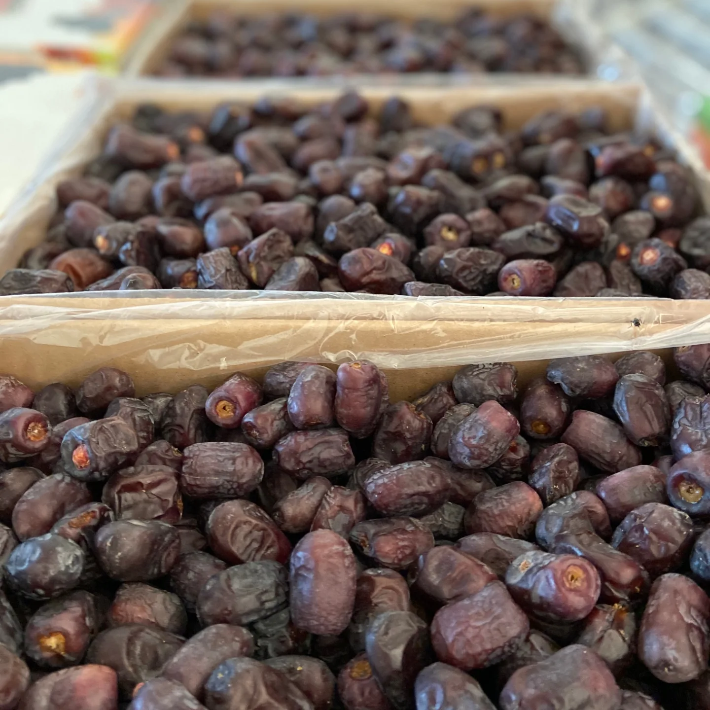 تصویر 5 از بهترین خرما مضافتی ایران برای صادرات + قیمت عمده