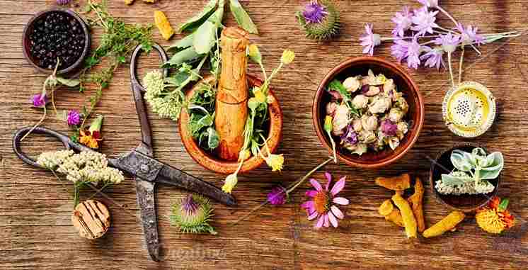 تصویر 1 از عرق خار مریم برای لاغری با عصاره گیاهی خالص