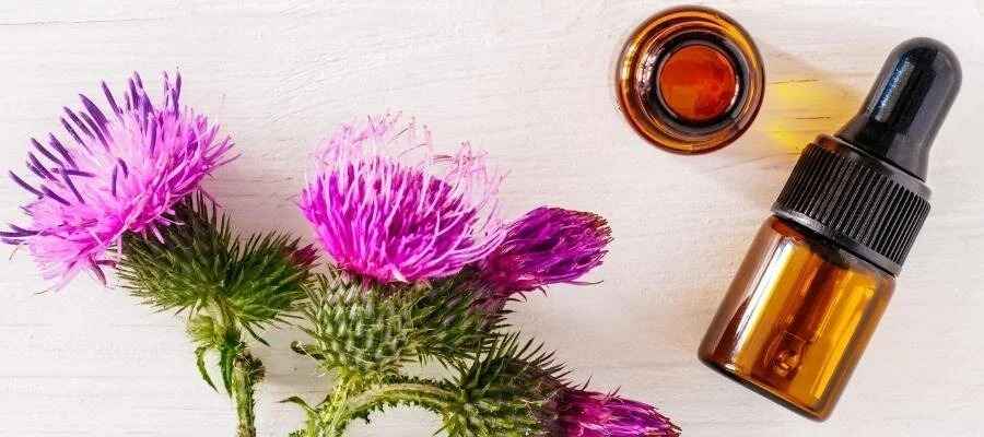 تصویر 4 از عرق خار مریم برای سهره با انتخابی از مواد اولیه باکیفیت