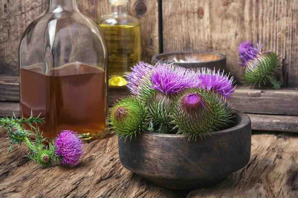 تصویر 2 از عرق خار مریم برای ریزش مو با عصاره گیاهی طبیعی