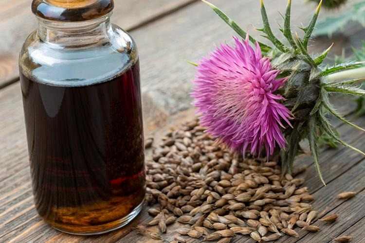 عرق خار مریم برای ریزش مو با عصاره گیاهی طبیعی