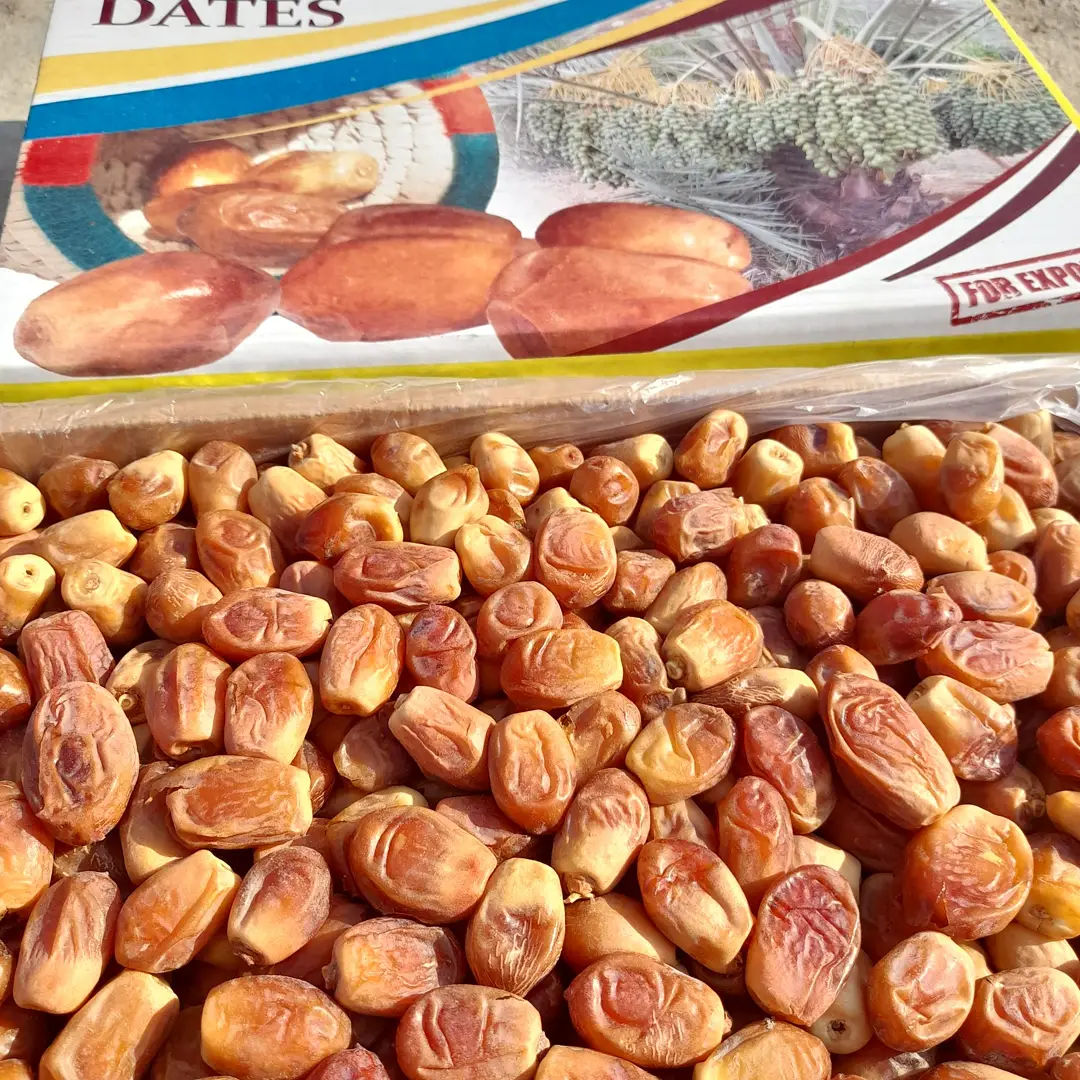 راهکارهای نگهداری خرما زاهدی + قیمت عمده