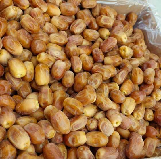 تصویر 3 از خرید عمده خرما زاهدی فله بوشهر + قیمت عمده