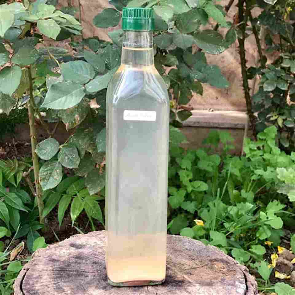 تصویر 2 از عرق بیدمشک برای حافظه با فرآوری سنتی و کیفیت ماندگار