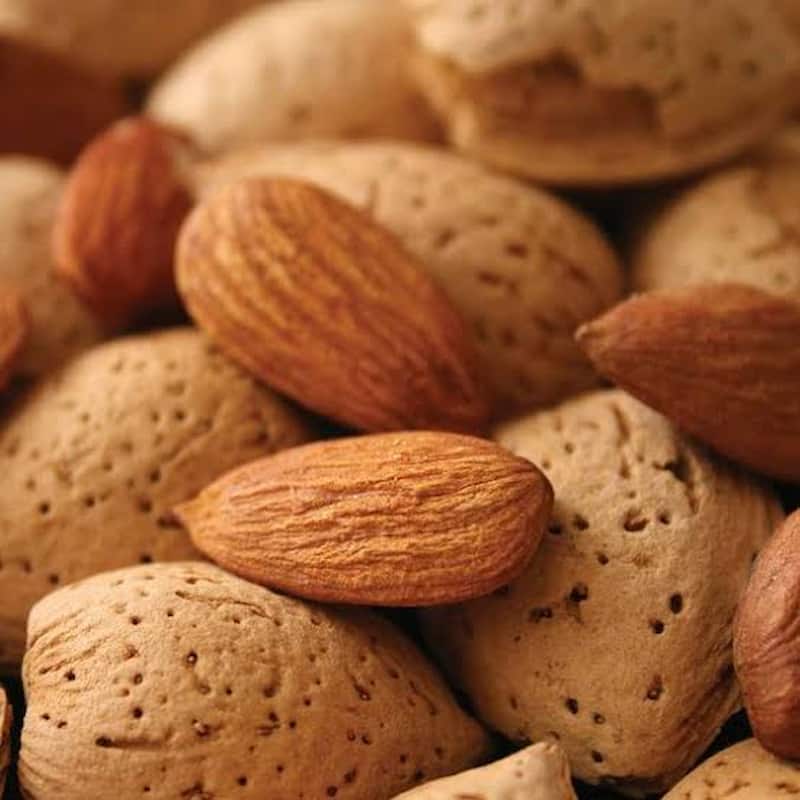 تصویر 4 از بادام مامایی دیرگل با مغز خوش طعم ویژه خرید عمده خشکبار
