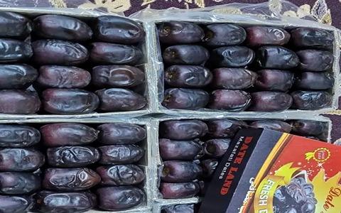 تصویر 1 از قیمت خرید خرما مضافتی صادراتی عمده به صرفه و ارزان