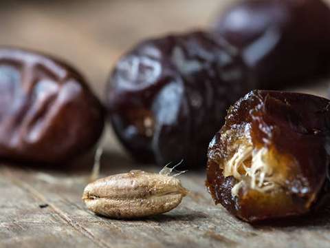 تصویر 1 از خرید و قیمت خرما مضافتی اصل + فروش عمده
