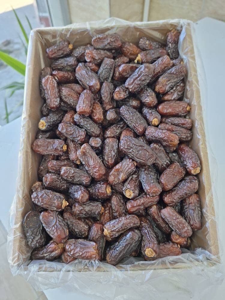 تصویر 2 از تأمین‌کننده اصلی خرما پیارم ایران + قیمت عمده