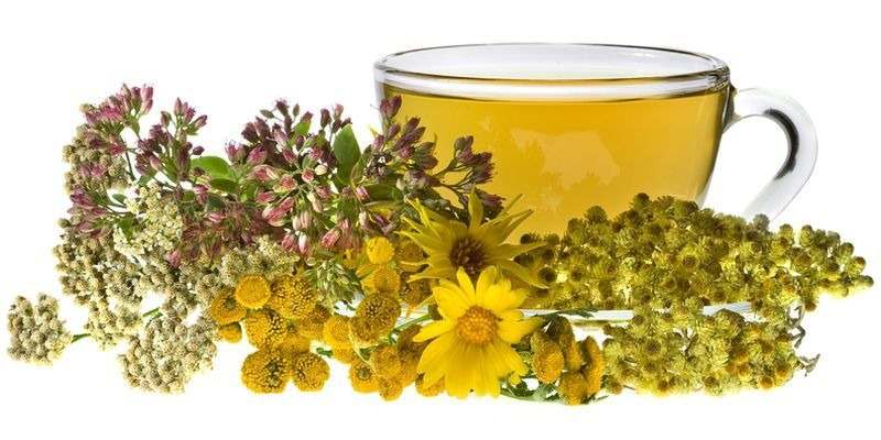 تصویر 3 از عرق بیدمشک برای لاغری با طعم طبیعی و دلنشین