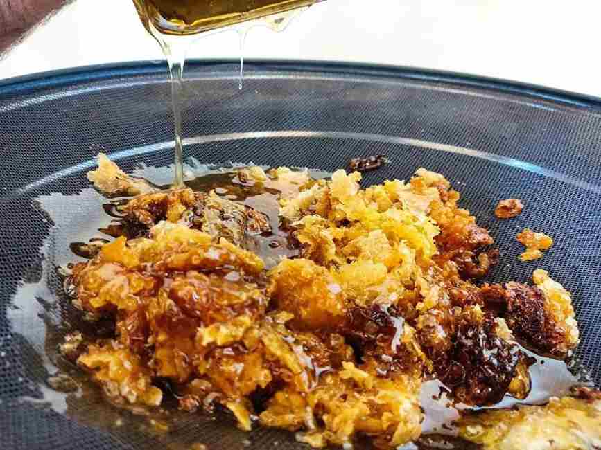 عسل وحشی جنگلی از کندوهای طبیعی در دل مناطق جنگلی