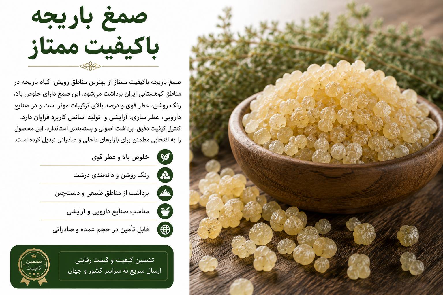 تصویر 1 از صمغ باریجه باکیفیت ممتاز
