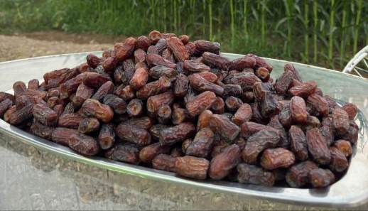 تصویر 2 از تأمین‌کننده خرما پیارم سوپر لوکس ایران