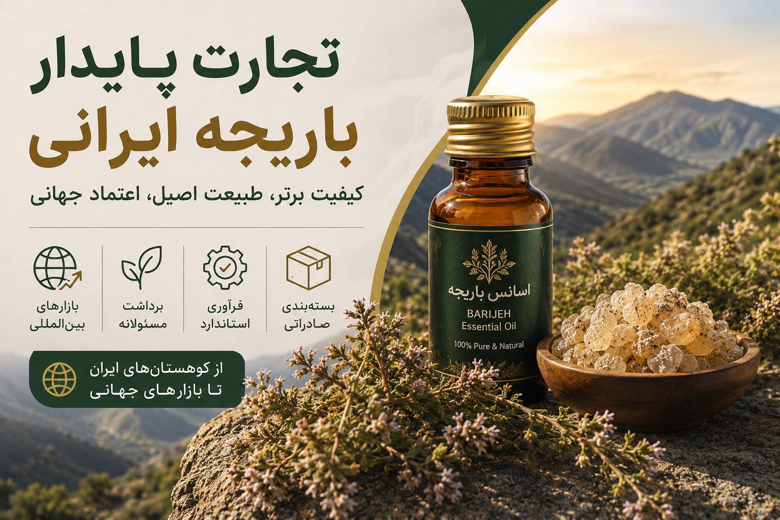 تجارت پایدار باریجه ایرانی