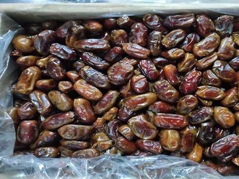 فروش خرما سایر