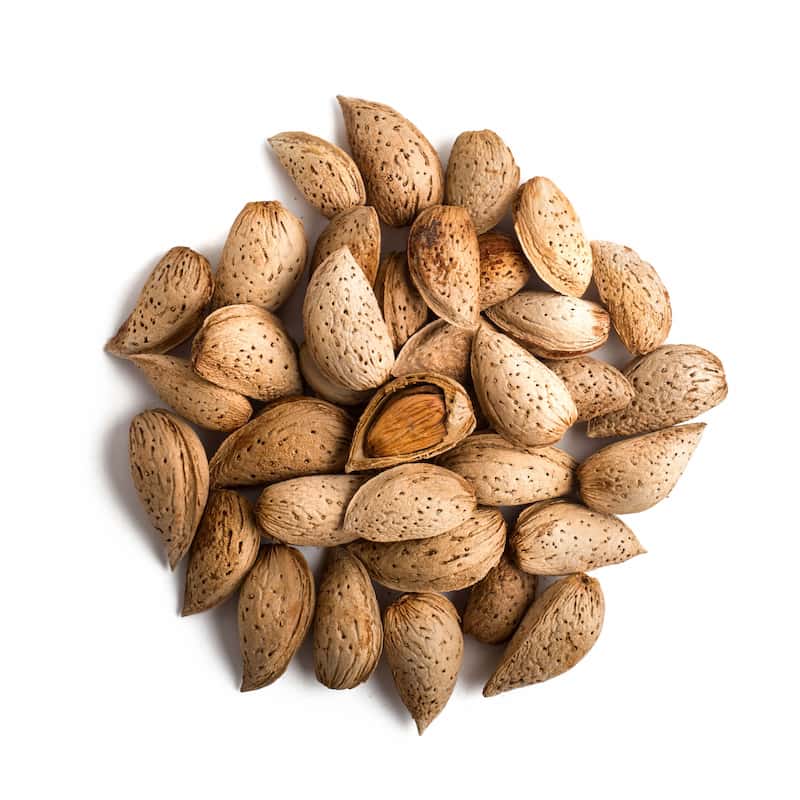 بادام درختی
