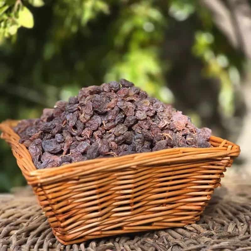کشمش فخری ملکان با دانه های درشت و طعم بی‌نظیر برای خشکبارفروشی ها