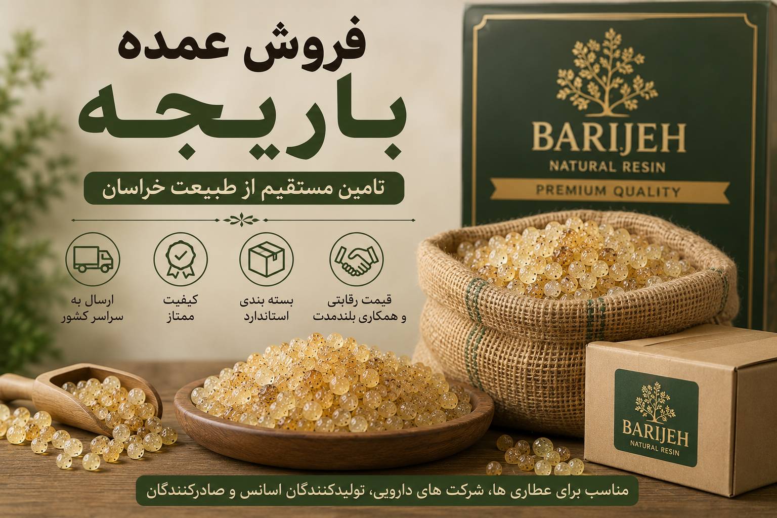 فروش عمده صمغ باریجه