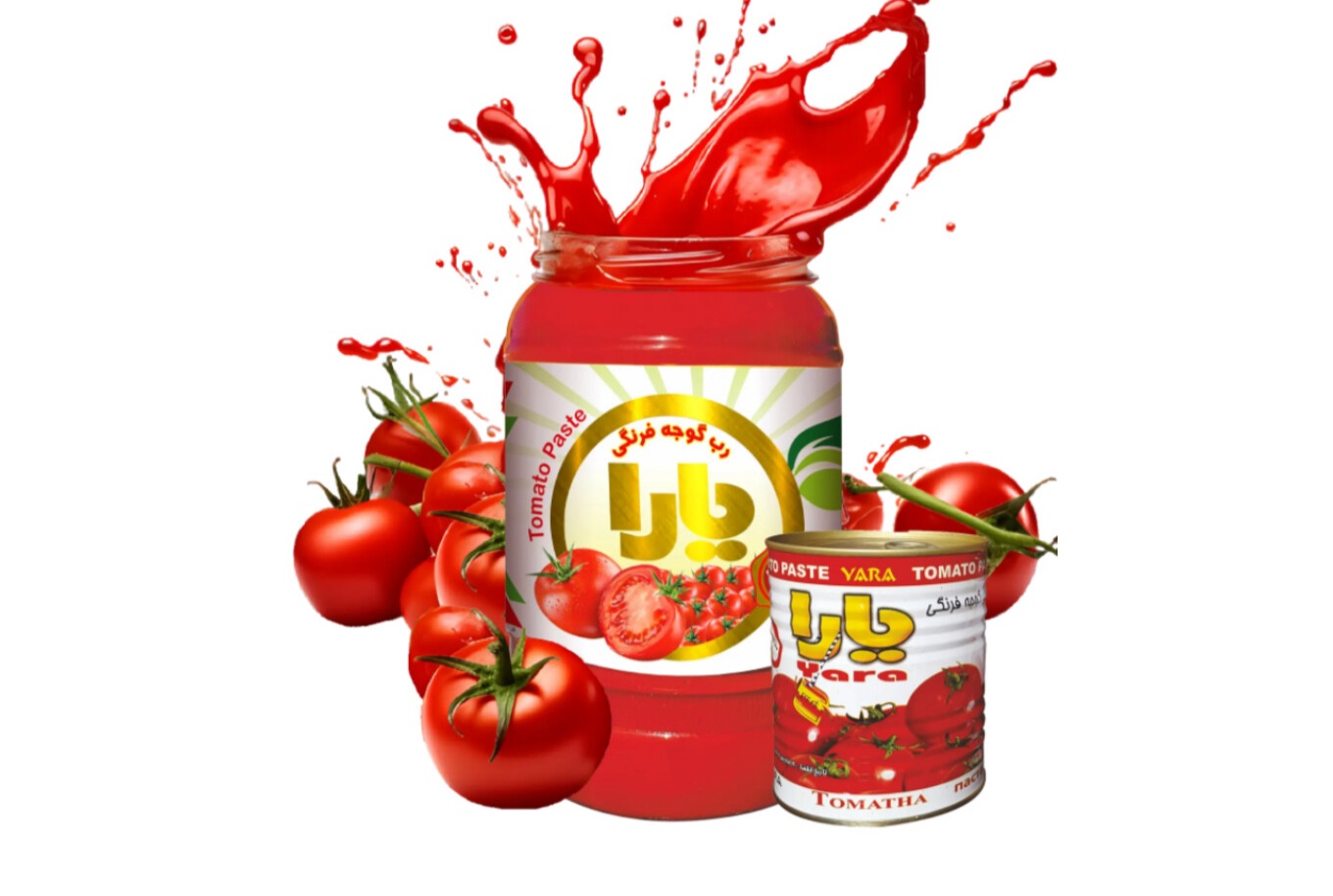 قیمت روز خرید رب گوجه فرنگی یارا صادراتی از درب کارخانه