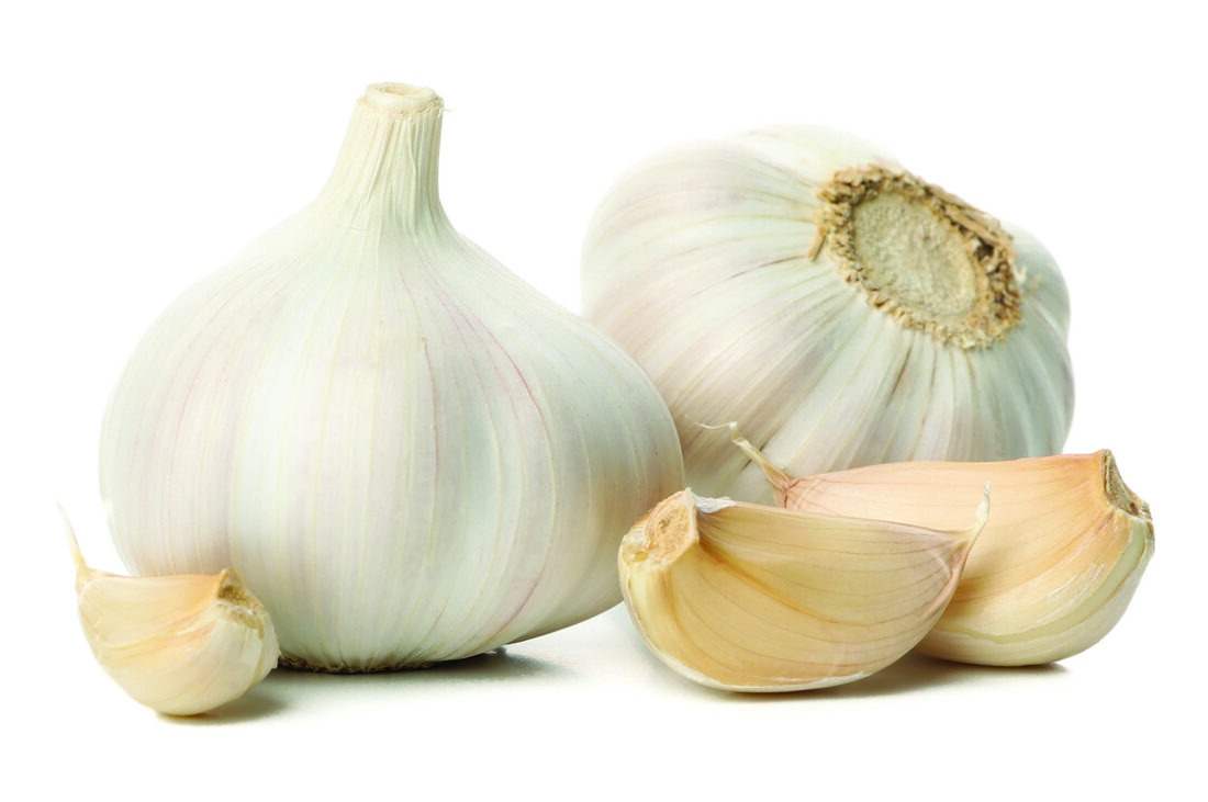 سیر خشک صادراتی با کیفیت استاندارد و بسته بندی مناسب