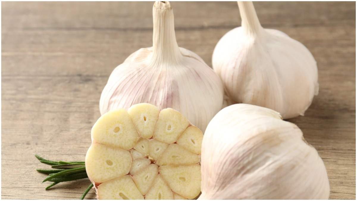 سیر خشک شمال با عطر طبیعی و کیفیت مطلوب